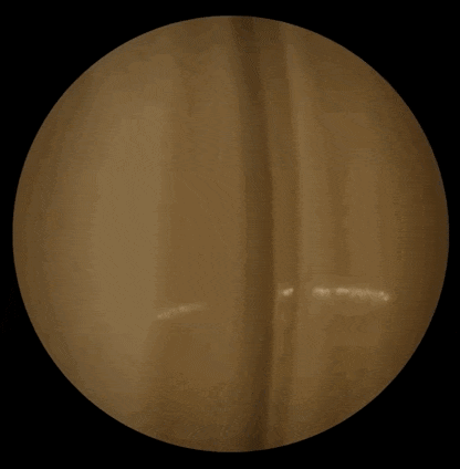 密室中的爱马仕？还真是爱马仕的密室！熊猫体育(图8)