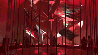 密室中的爱马仕？还真是爱马仕的密室！熊猫体育(图48)