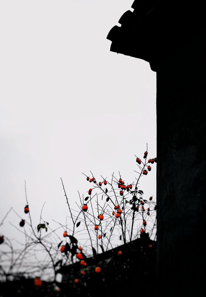 用手机拍剪影照片8个拍照技巧手机展现光影的美丽(图4)