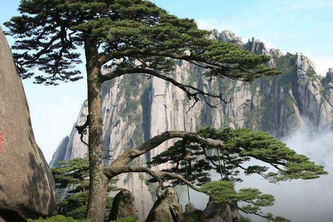 黄山双飞四日游参团多少钱？纯玩精品团路线图近期出行高性价比(图2)